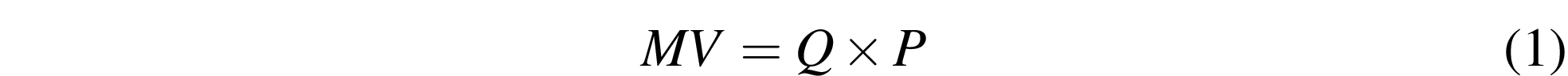 j-n-jonathan-nitzan-and-shimshon-bichler-capital-a-12.png