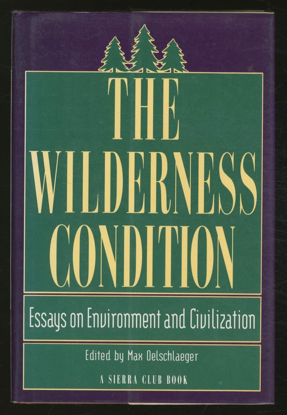 m-o-max-oelschlaeger-the-wilderness-condition-1.jpg