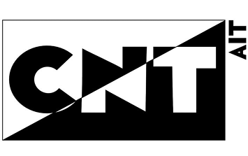m-t-m-testa-militant-anti-fascism-6.png