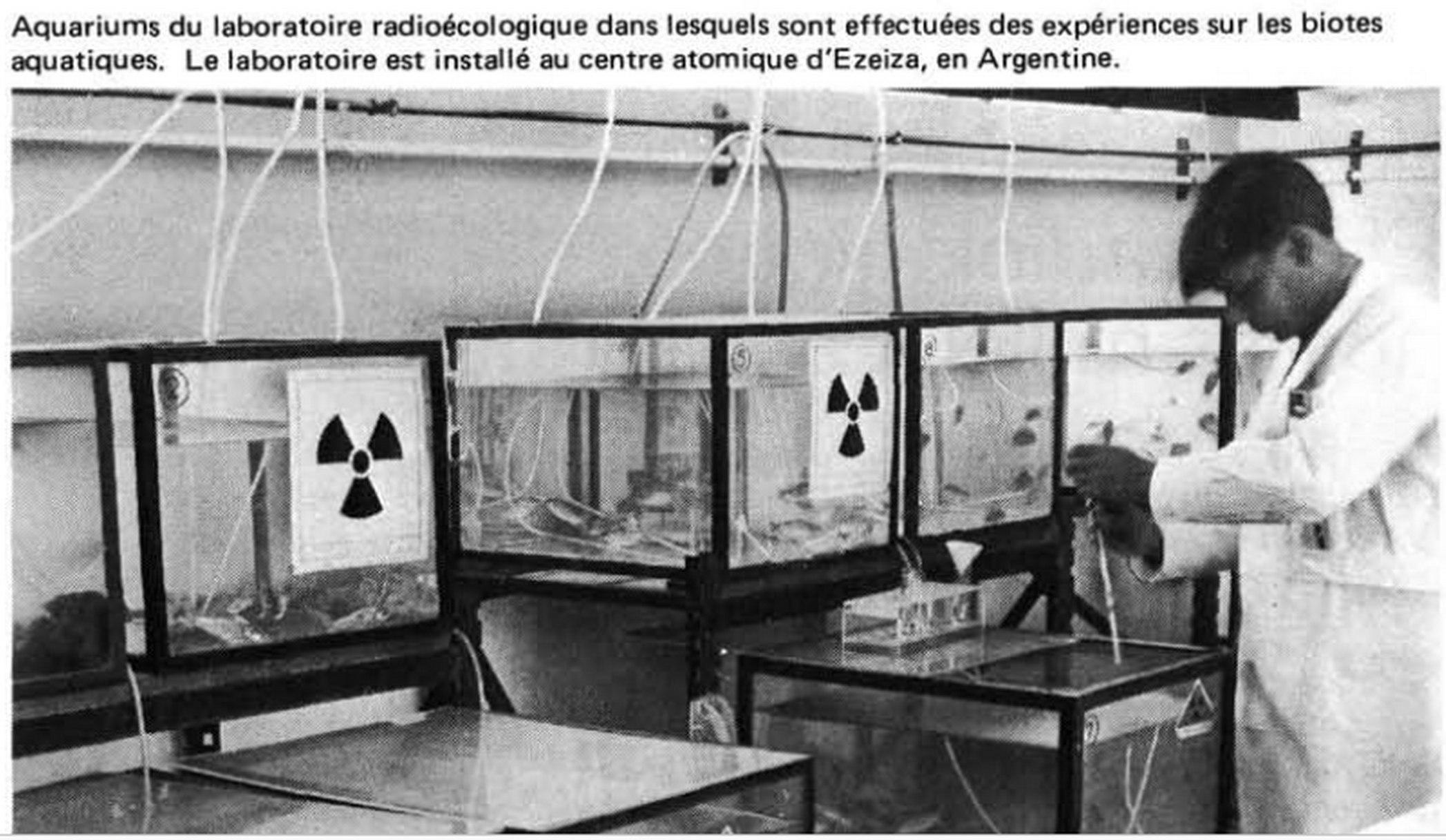 s-a-souslaplage-animals-hate-the-nuclear-industry-22.jpg