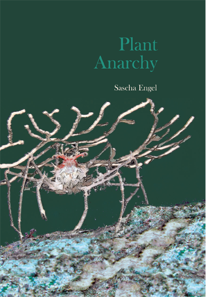 s-e-sascha-engel-plant-anarchy-6.png