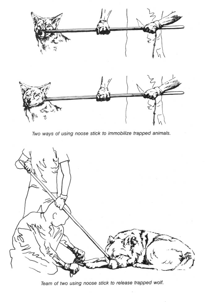 Ecodefense: A Field Guide to Monkeywrenching