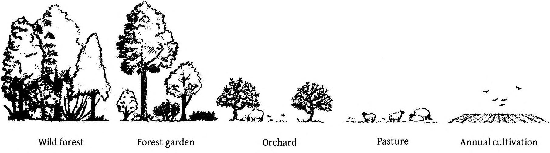v-a-various-authors-backwoods-issue-1-19.png