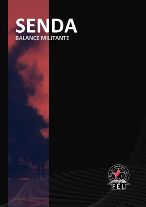 f-a-fel-a-militant-assessment-of-the-experience-of-1.pdf